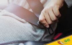 Штраф 8500 грн за непристегнутый ремень безопасности. Как?
